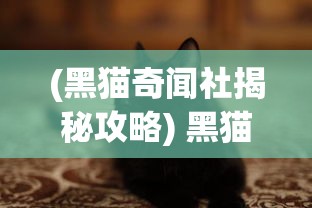 (黑猫奇闻社揭秘攻略) 黑猫奇闻社揭秘：揭开宠物行业的神秘面纱，你所不知道的异国品种探秘之旅！