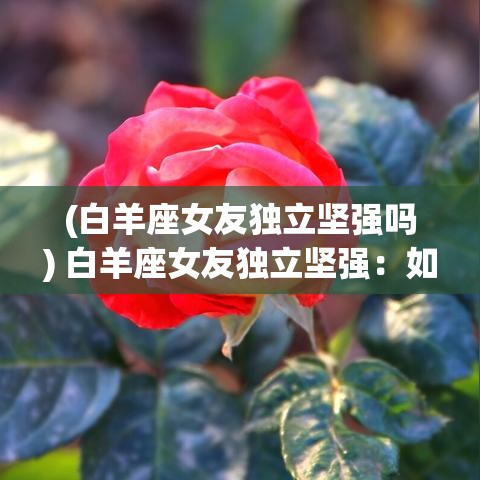 (白羊座女友独立坚强吗) 白羊座女友独立坚强：如何在爱情中平衡维持自我？教你三招与独立女友和谐相处，共创浪漫回忆！